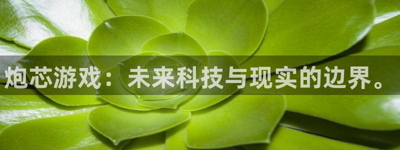 炮芯游戏：未来科技与现实的边界。