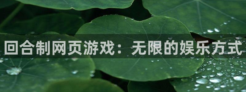 小艾电竞官网入口登录：回合制网页游戏：无限的娱乐方式